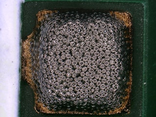 Osservazione della crema di saldatura con il microscopio digitale 4K Serie VHX